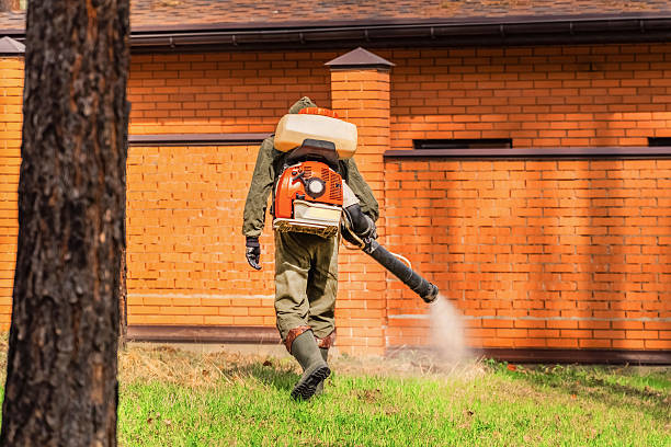 Top rated local Wasp Removal specialists in Grand Prairie, TX